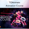 Animation Course