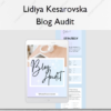 Blog Audit