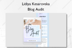 Blog Audit