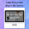 Blog to Biz System