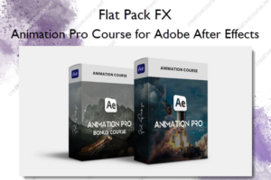 Animation Pro Course for Adobe After Effects