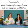 Video Marketing Strategy: Create Ads for Instagram and TikTok