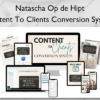 Content To Clients Conversion System