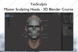 YanSculpts – Master Sculpting Heads – 3D Blender Course