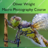 Macro Photography Course – The School of Photography – Oliver Wright