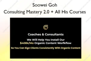 Consulting Mastery 2.0 + All His Courses – Soowei Goh
